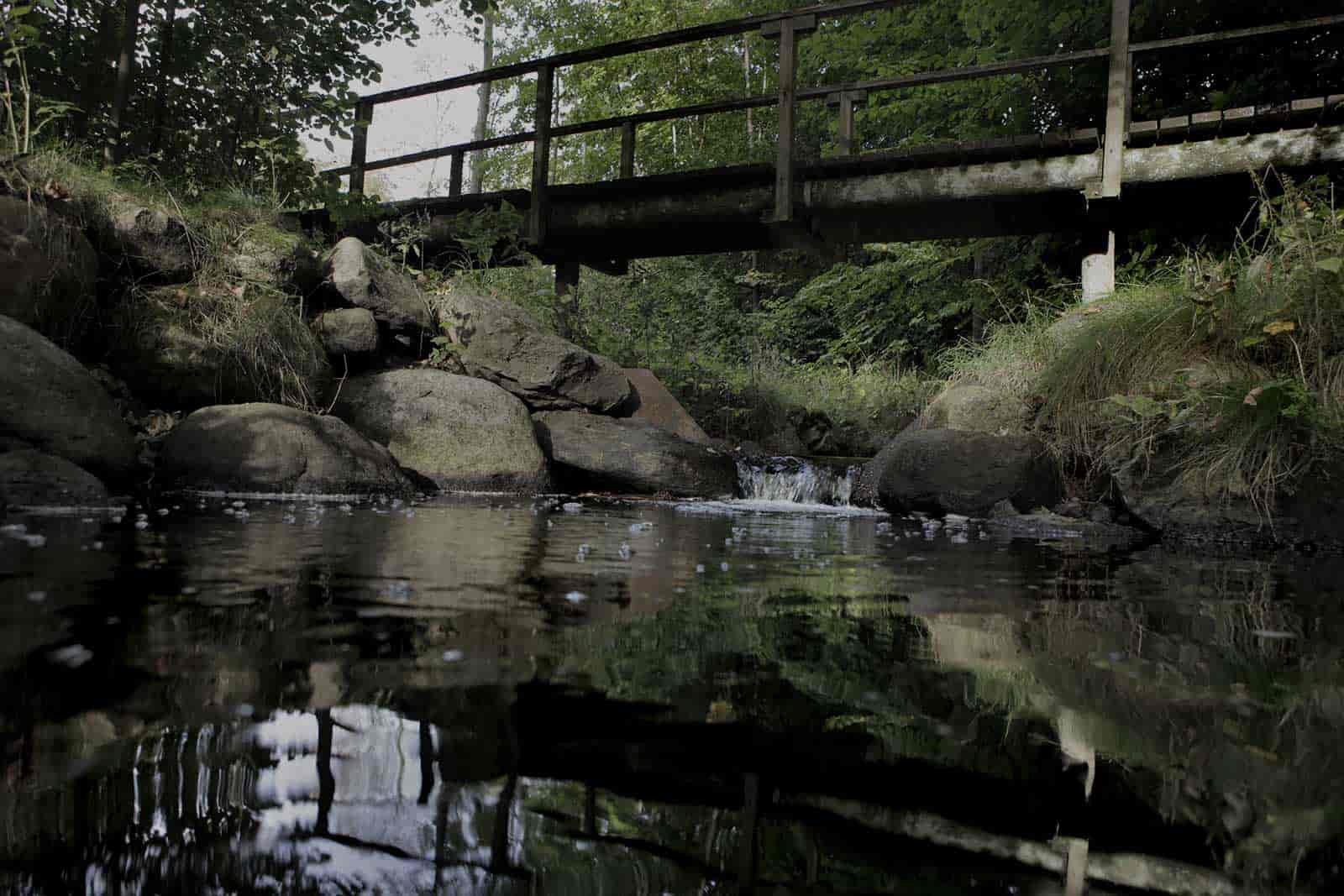 Få styr på lovkravene og pas godt på dit pillefyr